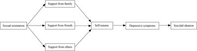 Understanding suicidal ideation disparity between sexual minority and heterosexual Chinese young men: a multiple mediation model of social support sources, self-esteem, and depressive symptoms